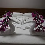Mavi Yesil Yasam 3* Gümbet