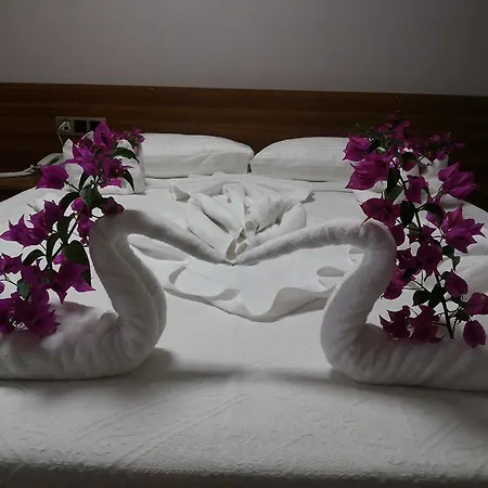 Mavi Yeşil Yaşam 3* Gümbet