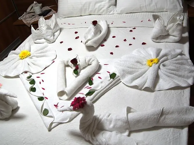 Mavi Yesil Yasam Gümbet